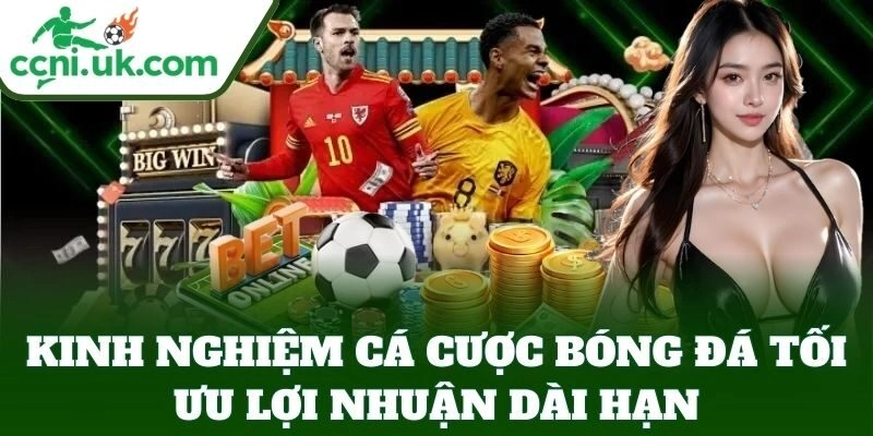 Kinh Nghiệm Cá Cược Bóng Đá Hay Nhất, Bí Quyết Thắng Lớn 2 Kinh Nghiệm Cá Cược Bóng Đá tối ưu lợi nhuận dài hạn