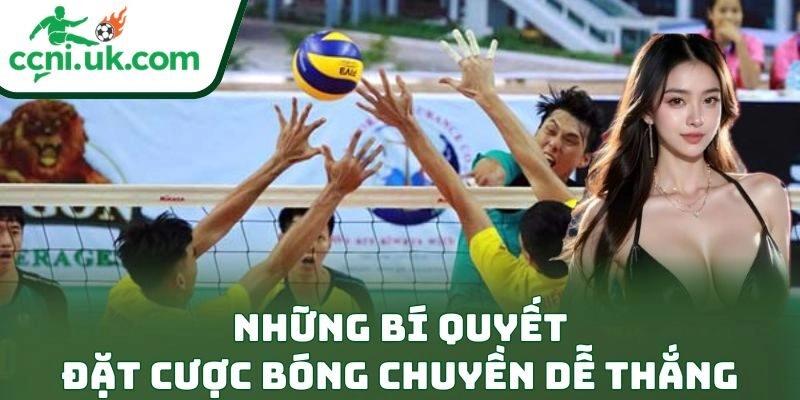 Bí Quyết Đặt Cược Bóng Chuyền Dễ Thắng Kịch Trần 1 Những bí quyết đặt cược bóng chuyền dễ thắng