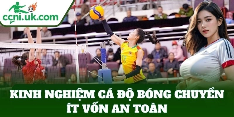 Kinh Nghiệm Cá Độ Bóng Chuyền Ít Vốn – Lời Bền Vững 2 Kinh Nghiệm Cá Độ Bóng Chuyền Ít Vốn an toàn