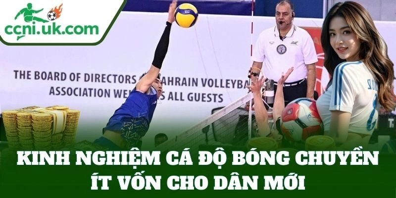 Kinh Nghiệm Cá Độ Bóng Chuyền Ít Vốn – Lời Bền Vững 1 Kinh Nghiệm Cá Độ Bóng Chuyền Ít Vốn cho dân mới