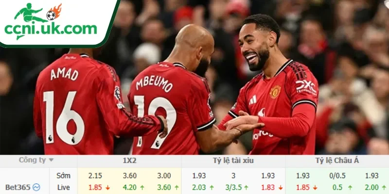 Chi tiết kèo Brighton vs Man United (22h00 ngày 24/05)