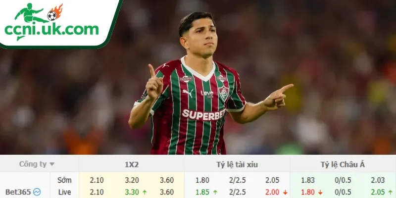 Chi tiết kèo Cruzeiro vs Fluminense (06h30 ngày 01/06)