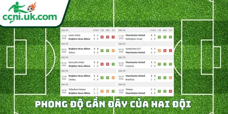 Phong độ của mỗi CLB trước trận đấu Brighton vs Man United