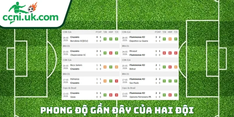 Phong độ của mỗi CLB trước trận đấu Cruzeiro vs Fluminense